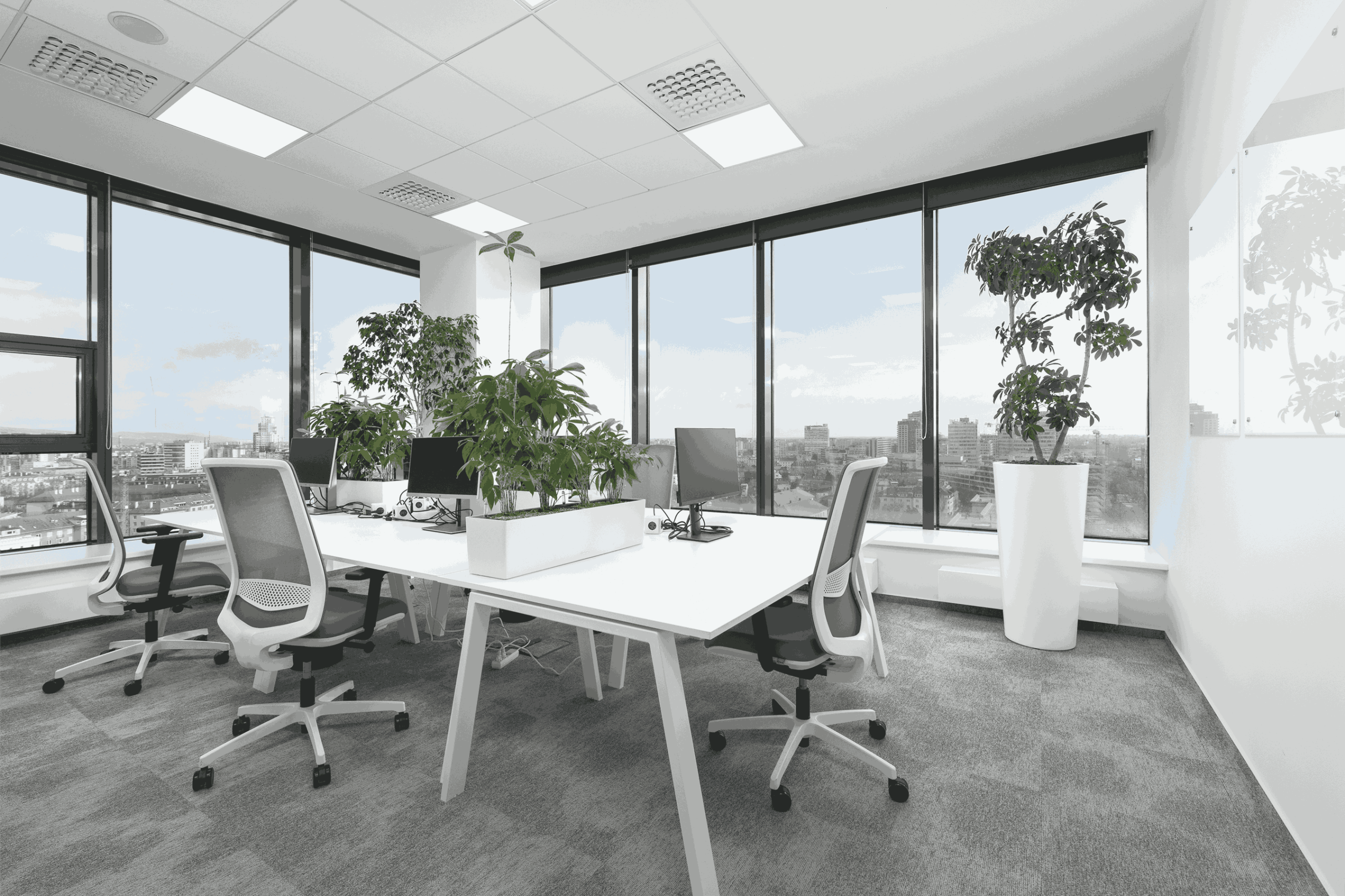 IMG_0019_EDITED_04_11zon