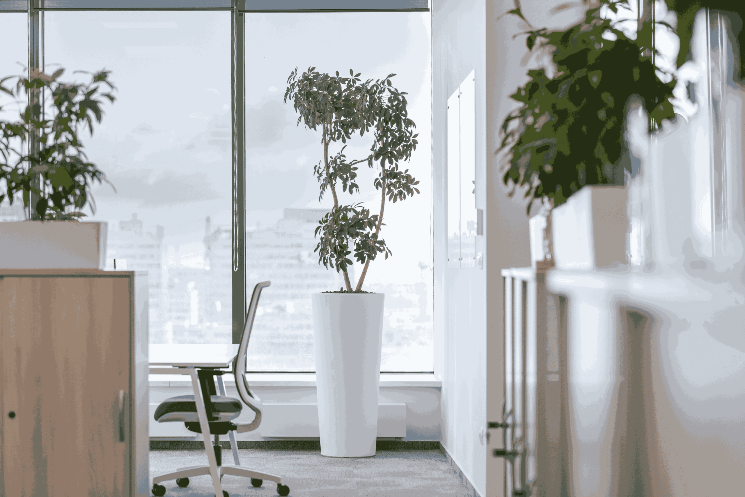 IMG_0028_EDITED_09_11zon (1)